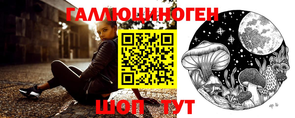 Малгобек  Псилоцибиновые грибы прущие грибы  цена наркотик  Вход с VPN 