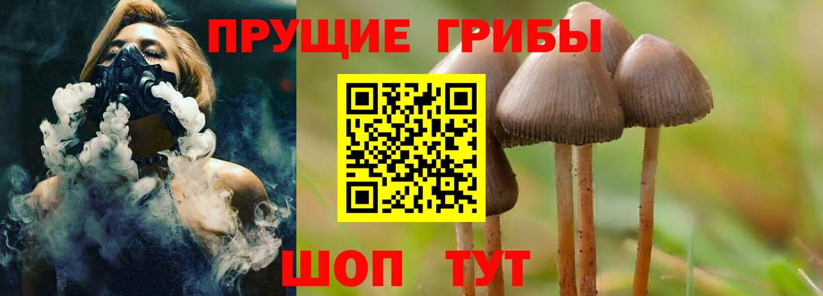 Галлюциногенные грибы GOLDEN TEACHER Малгобек